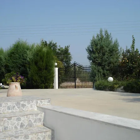 In Olive Grove - Gerakini
