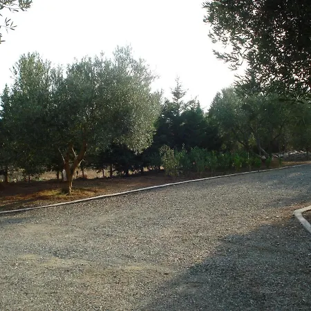 Country house In Olive Grove -