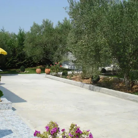 Country house In Olive Grove - *