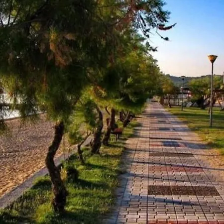 In Olive Grove - Country house *